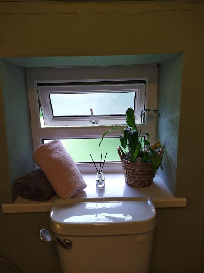 קורק Peaceful Cottage מראה חיצוני תמונה